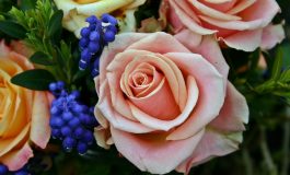 Wöchentliches Gießen von Blumen und Pflanzen im Grab von März bis Oktober