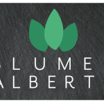 Alberth Blumen & Pflanzen